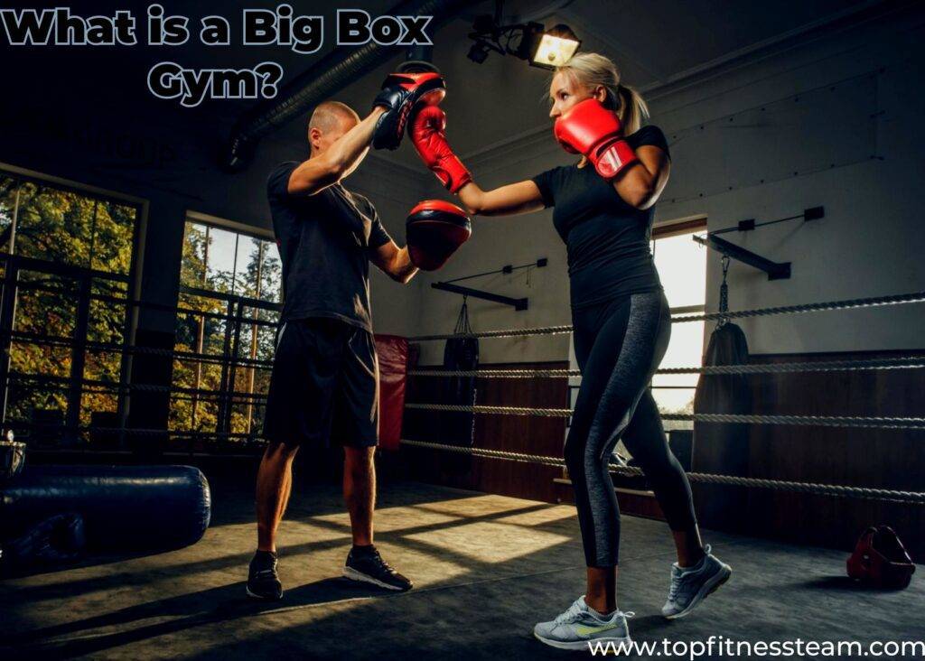 What is a Big Box Gym?