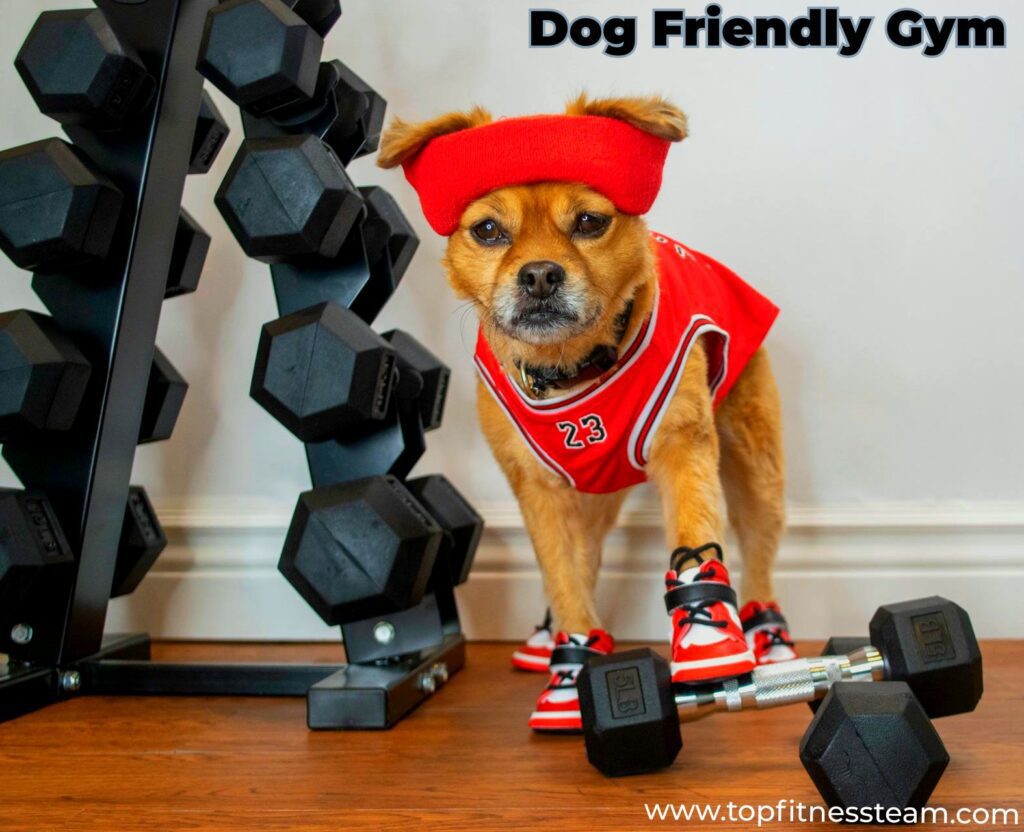 Top 10 Dog Friendly Gyms
