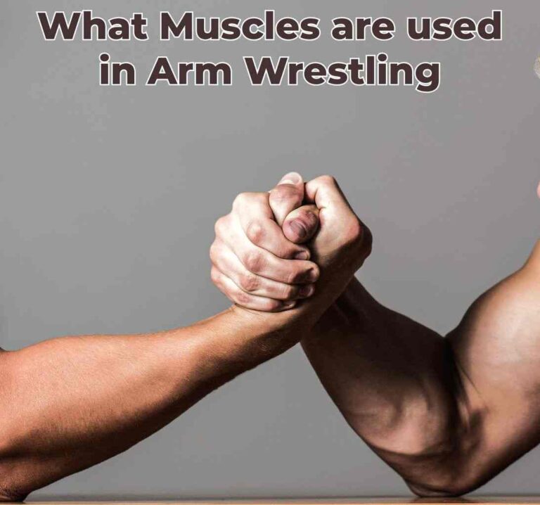 What Muscles are used in Arm Wrestling